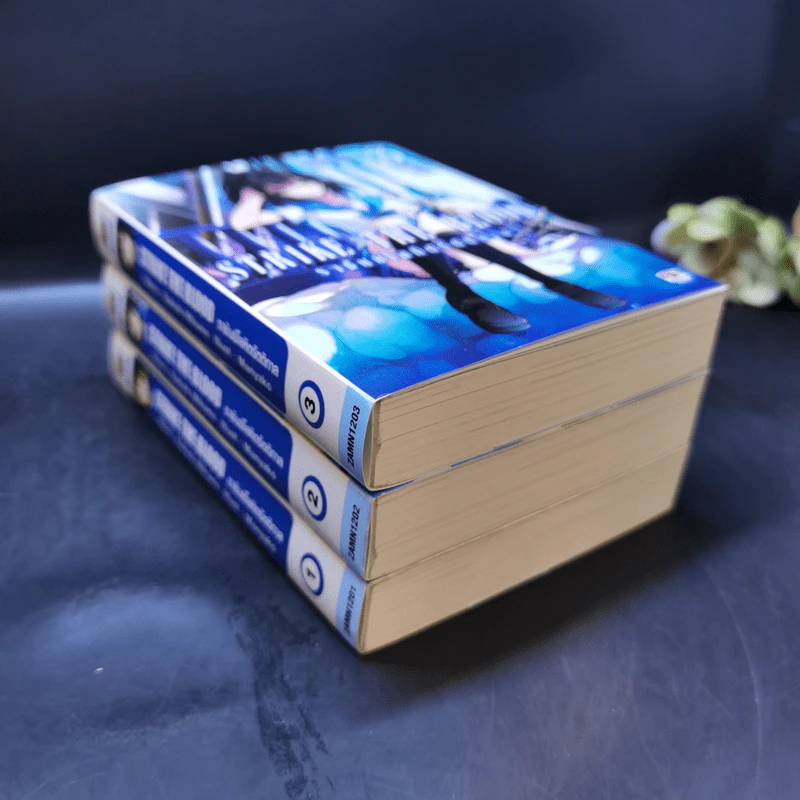 Strike The Blood ราชันย์โลหิตรัตติกาล เล่ม 1-3 รูปที่ 7