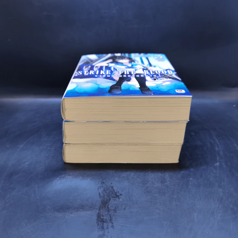 Strike The Blood ราชันย์โลหิตรัตติกาล เล่ม 1-3 รูปที่ 3
