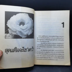 สุดแต่ใจจะไขว่คว้า - โบตั๋น รูปที่ 9
