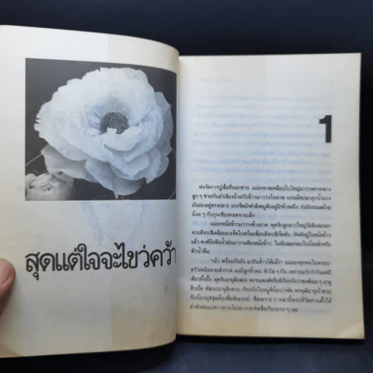 สุดแต่ใจจะไขว่คว้า - โบตั๋น รูปที่ 9