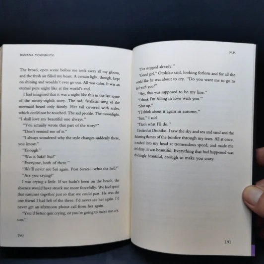 NP - Banana Yoshimoto รูปที่ 12