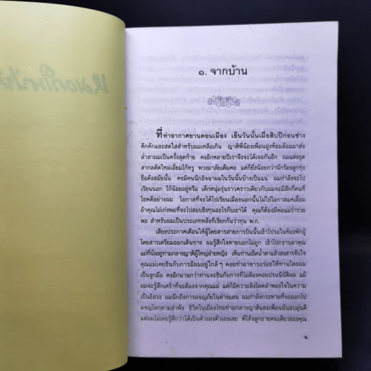 หมอกในป่าสีทอง - สีมน รูปที่ 9