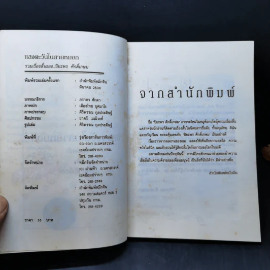 แสงตะวันในสายหมอก - ปิยะพร ศักดิ์เกษม รูปที่ 8