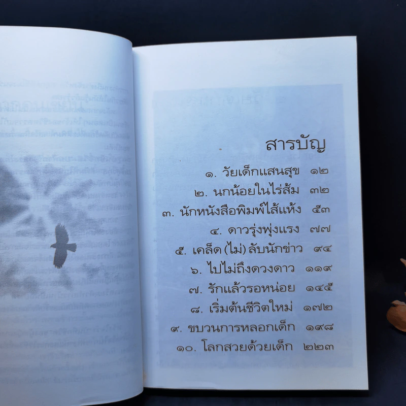 บนทางชีวิต - นิรมล เมธีสุวกุล รูปที่ 11