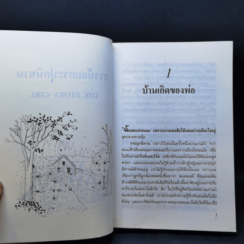 สาวน้อยกระปุกนิทาน - แอล.เอ็ม. มอนต์โกเมอรี รูปที่ 10