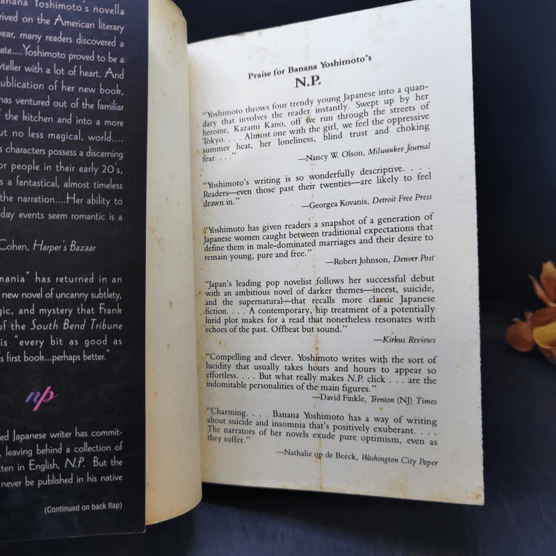 NP - Banana Yoshimoto รูปที่ 8