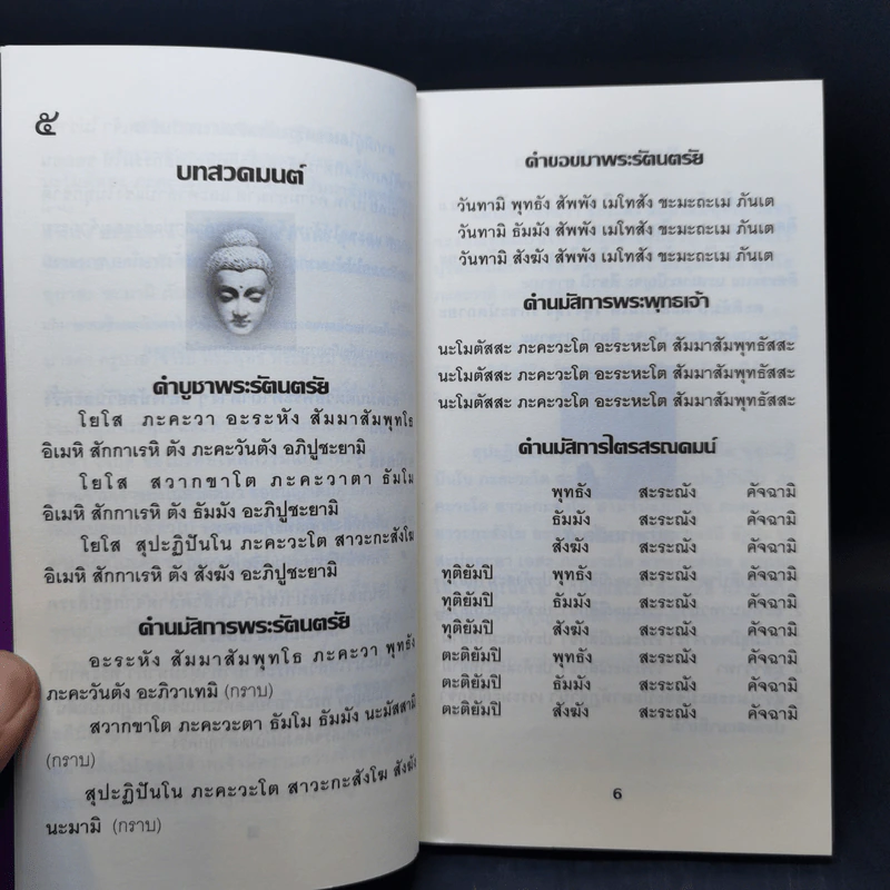 เสบียงทิพย์ รูปที่ 11