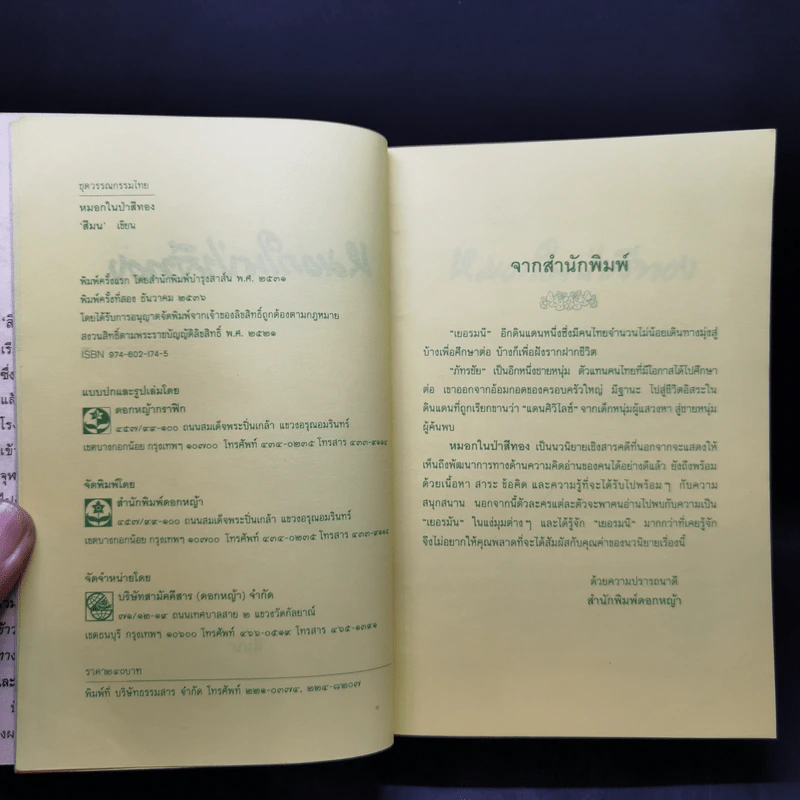 หมอกในป่าสีทอง - สีมน รูปที่ 8