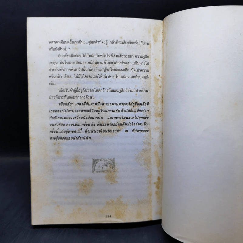 แสงตะวันในสายหมอก - ปิยะพร ศักดิ์เกษม รูปที่ 11