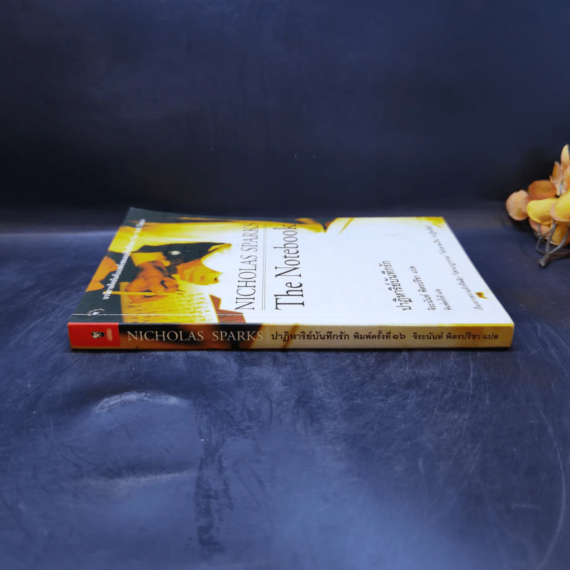 ปาฏิหาริย์บันทึกรัก The Notebook - Nicholas Sparks (นิโคลัส สปาร์กส์) รูปที่ 3