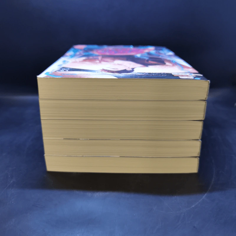 อสูรกลืนภพ เล่ม 1-5 - หว่อชือซีหงสื้อ รูปที่ 5