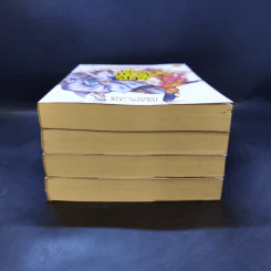 ตุ๊ดทะลุมิติ (พิภพจอมนาง) เล่ม 1-4 - นปภา รูปที่ 3
