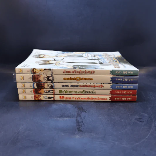 นิยายวาย 5 เล่ม สายการบินร้อนซ่อนรัก+ยอมแล้วครับรับรักผมเถอะ+แผนรักหักเหลี่ยมหัวใจ+นายเป็นของฉัน+จบเกมนี้ขอใจคุณเป็นของผม รูปที่ 2