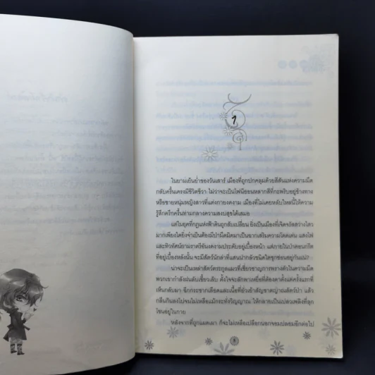 นิยายวาย พยัคฆ์ร้ายชิงรัก + เสือดาวลักพาใจ รูปที่ 11