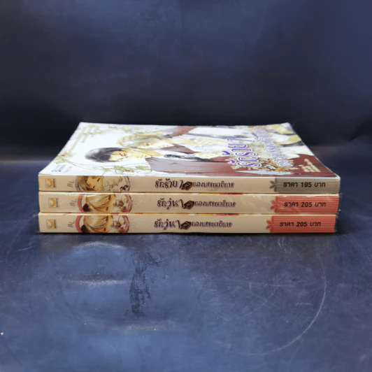 รักวุ่นๆฉบับกองบรรณาธิการ 3 เล่ม รูปที่ 3