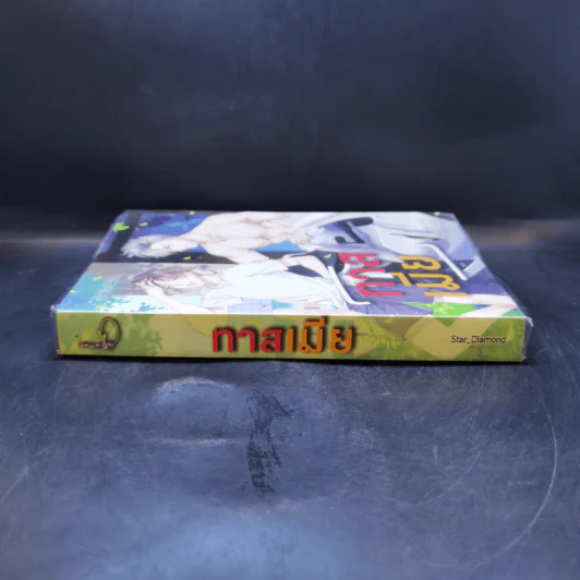 นิยายวาย ทาสเมีย - Star_Diamond รูปที่ 3