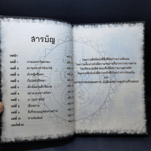 การิน ปริศนาคดีอาถรรพ์ เล่ม 7 ตอน สุขสันต์วันถึงฆาต - อัยย์ รูปที่ 9