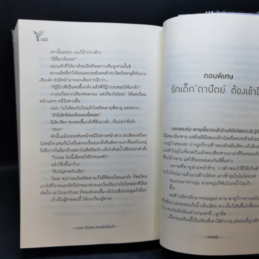 นิยายวาย พายุรักโถมใจ Love Storm - MAME รูปที่ 11