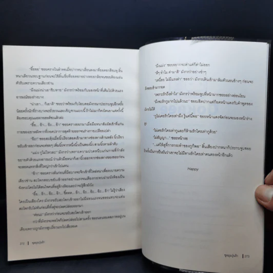 นิยายวาย ชุลมุนวุ่นรัก - จางบิวตี้ รูปที่ 10