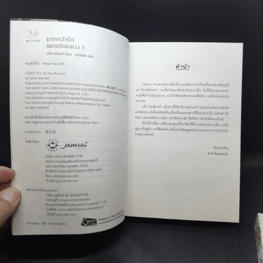 นิยายแจ่มใส นิยายรักอลเวง 2 เล่มจบ - จวี๋ฮวาซั่นหลี่ รูปที่ 8