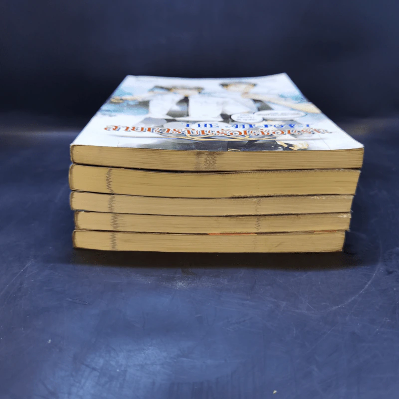 นิยายวาย 5 เล่ม สายการบินร้อนซ่อนรัก+ยอมแล้วครับรับรักผมเถอะ+แผนรักหักเหลี่ยมหัวใจ+นายเป็นของฉัน+จบเกมนี้ขอใจคุณเป็นของผม รูปที่ 3