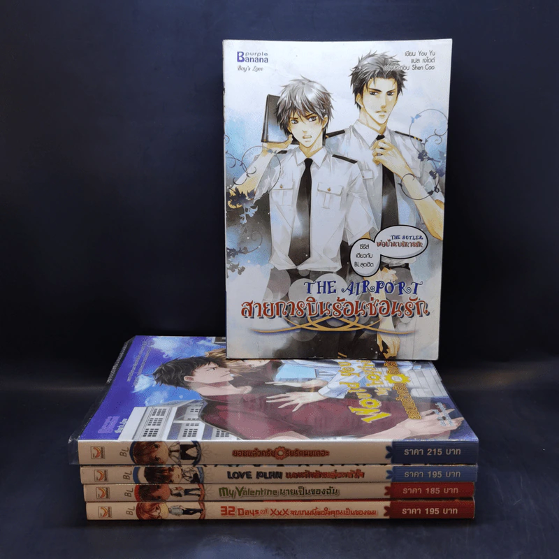 นิยายวาย 5 เล่ม สายการบินร้อนซ่อนรัก+ยอมแล้วครับรับรักผมเถอะ+แผนรักหักเหลี่ยมหัวใจ+นายเป็นของฉัน+จบเกมนี้ขอใจคุณเป็นของผม รูปที่ 1