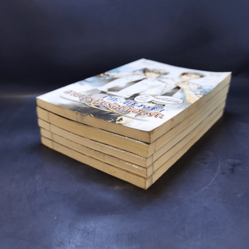 นิยายวาย 5 เล่ม สายการบินร้อนซ่อนรัก+ยอมแล้วครับรับรักผมเถอะ+แผนรักหักเหลี่ยมหัวใจ+นายเป็นของฉัน+จบเกมนี้ขอใจคุณเป็นของผม รูปที่ 6
