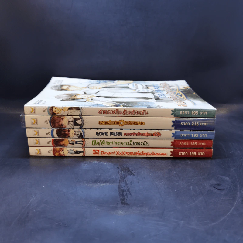 นิยายวาย 5 เล่ม สายการบินร้อนซ่อนรัก+ยอมแล้วครับรับรักผมเถอะ+แผนรักหักเหลี่ยมหัวใจ+นายเป็นของฉัน+จบเกมนี้ขอใจคุณเป็นของผม รูปที่ 2