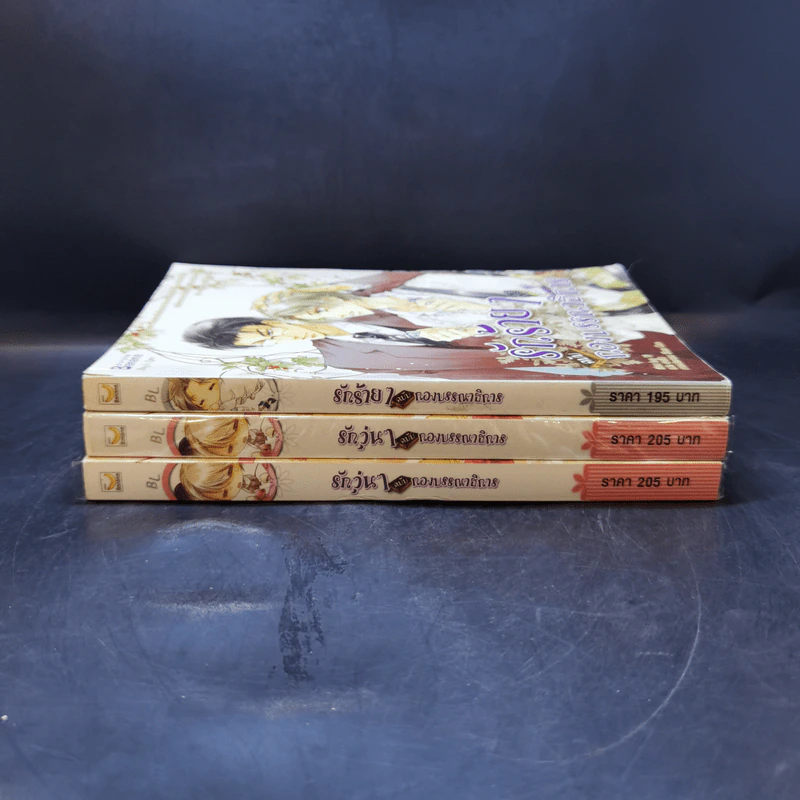 รักวุ่นๆฉบับกองบรรณาธิการ 3 เล่ม รูปที่ 3