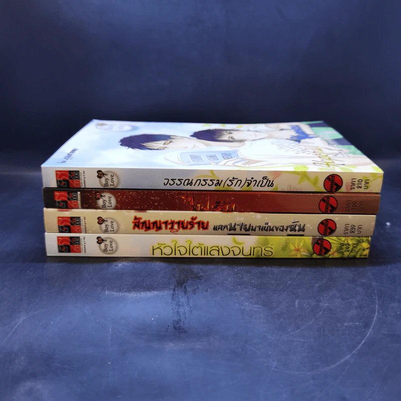 นิยายวาย Boy's Love Series 18-21 Boxset รูปที่ 5
