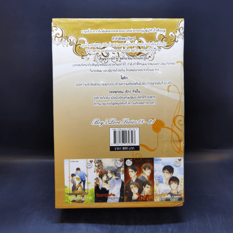 นิยายวาย Boy's Love Series 18-21 Boxset รูปที่ 2