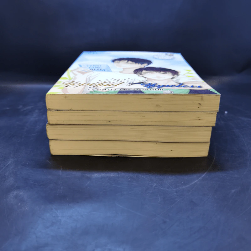 นิยายวาย Boy's Love Series 18-21 Boxset รูปที่ 6