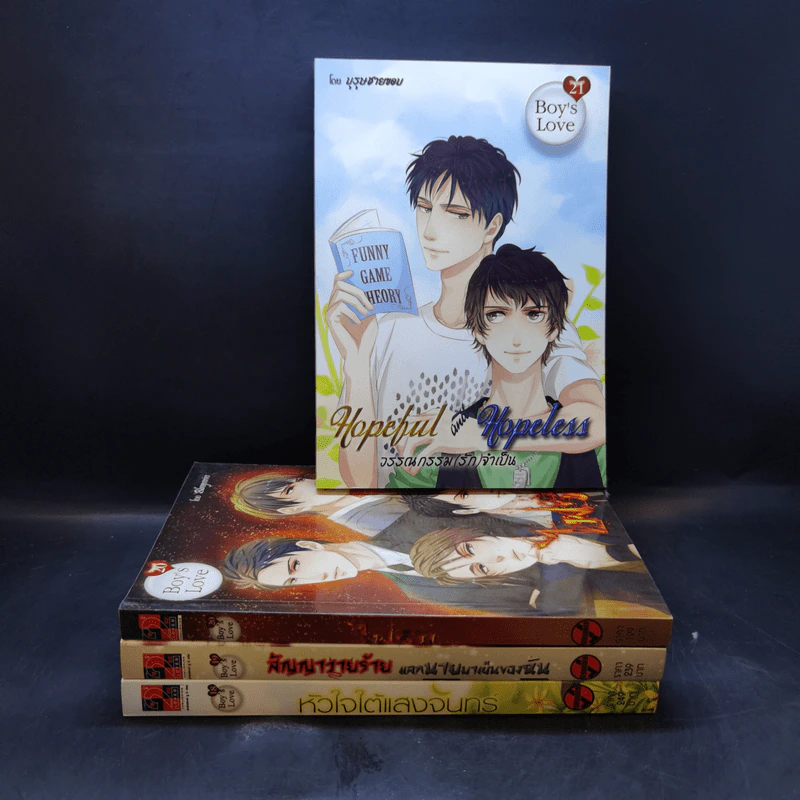 นิยายวาย Boy's Love Series 18-21 Boxset รูปที่ 4