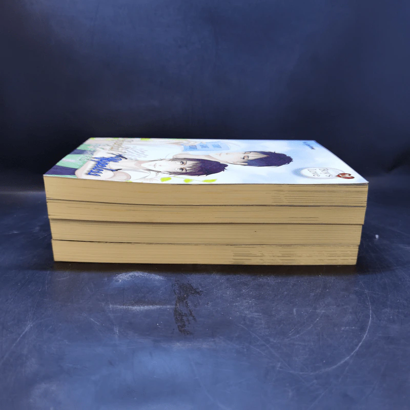 นิยายวาย Boy's Love Series 18-21 Boxset รูปที่ 7