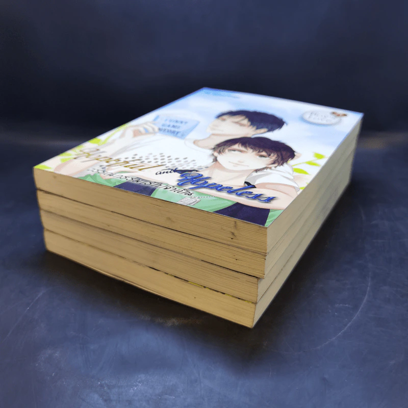 นิยายวาย Boy's Love Series 18-21 Boxset รูปที่ 9