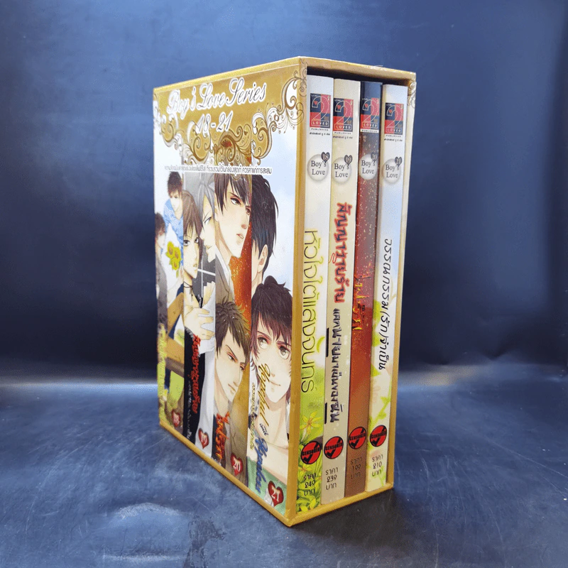 นิยายวาย Boy's Love Series 18-21 Boxset รูปที่ 3