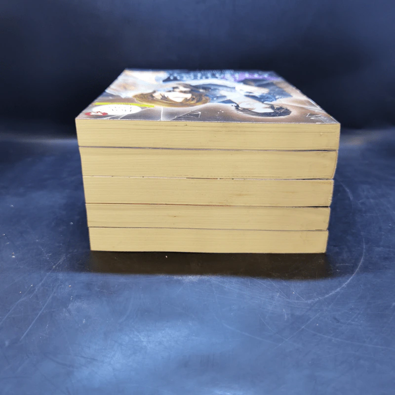นิยายวาย Boy's Love 35 The Sseries มาเฟียที่รัก Boxset รูปที่ 8