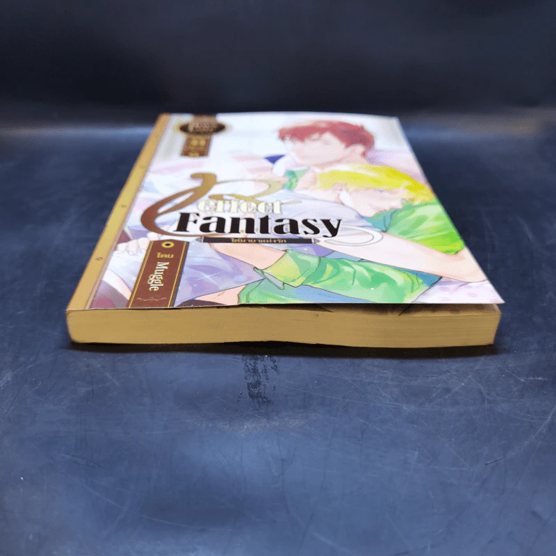 นิยายวาย ใต้มายาแห่งรัก Perfect Fantasy - Muggle รูปที่ 4