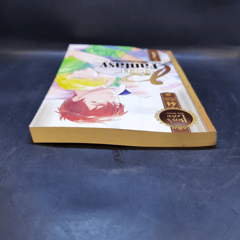 นิยายวาย ใต้มายาแห่งรัก Perfect Fantasy - Muggle รูปที่ 6