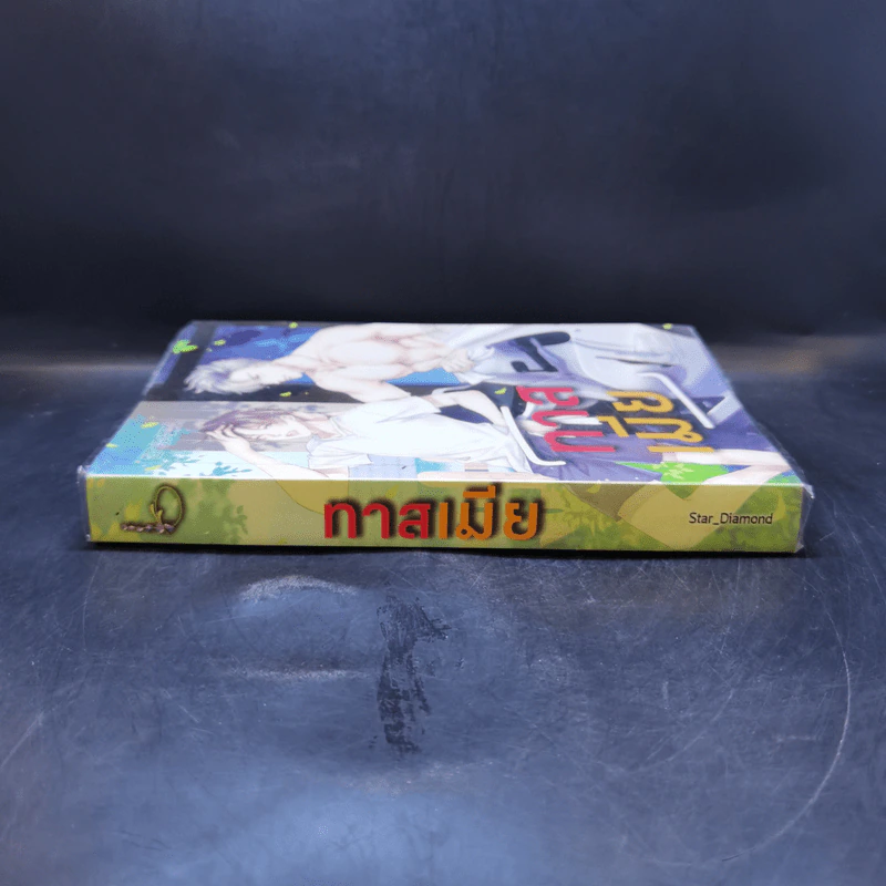 นิยายวาย ทาสเมีย - Star_Diamond รูปที่ 3