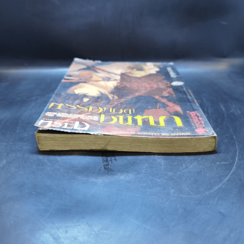การิน ปริศนาคดีอาถรรพ์ เล่ม 8 ตอน บันทึกเขียนกรรม - อัยย์ รูปที่ 6