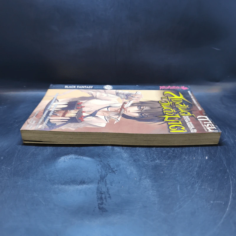 การิน ปริศนาคดีอาถรรพ์ เล่ม 7 ตอน สุขสันต์วันถึงฆาต - อัยย์ รูปที่ 5