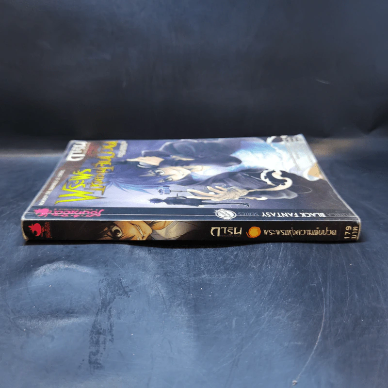 การิน ปริศนาคดีอาถรรพ์ เล่ม 5 ตอน พระพรแห่งความเจ็บปวด - อัยย์ รูปที่ 3