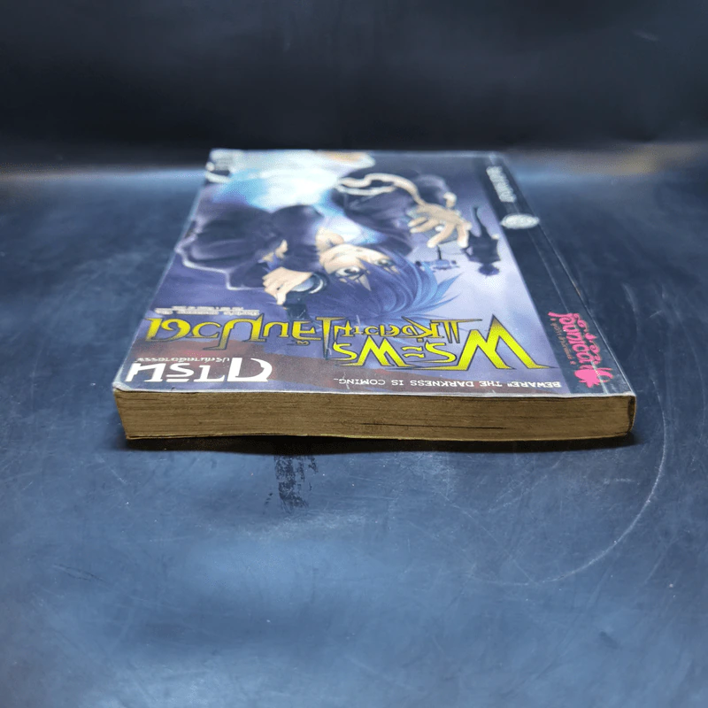 การิน ปริศนาคดีอาถรรพ์ เล่ม 5 ตอน พระพรแห่งความเจ็บปวด - อัยย์ รูปที่ 6