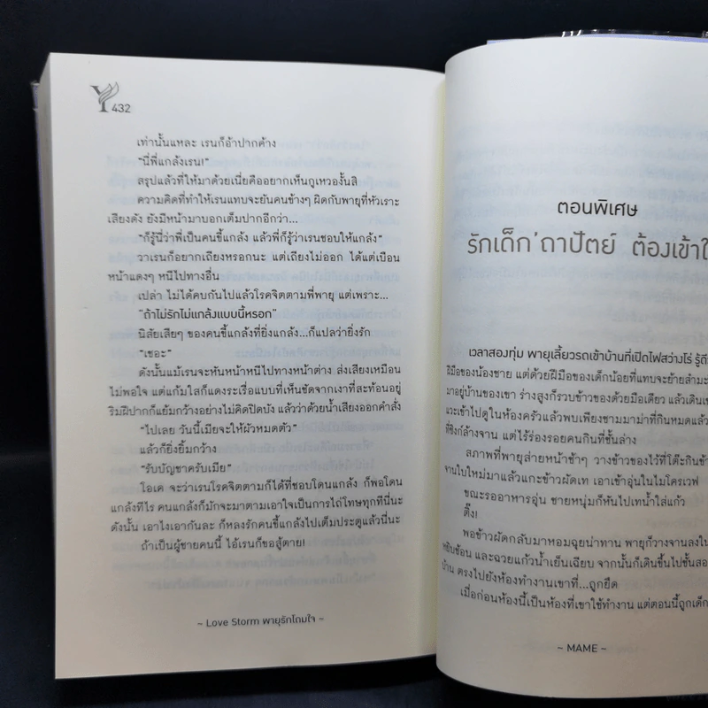 นิยายวาย พายุรักโถมใจ Love Storm - MAME รูปที่ 11