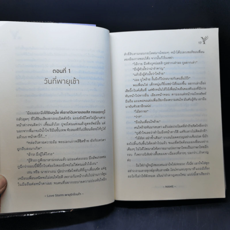 นิยายวาย พายุรักโถมใจ Love Storm - MAME รูปที่ 10