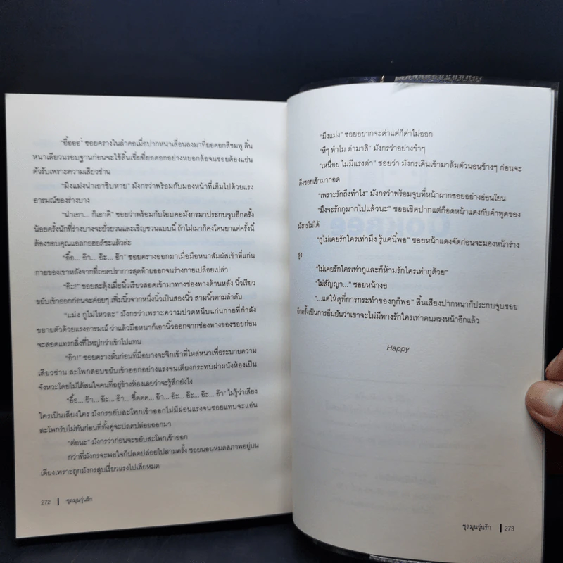นิยายวาย ชุลมุนวุ่นรัก - จางบิวตี้ รูปที่ 10