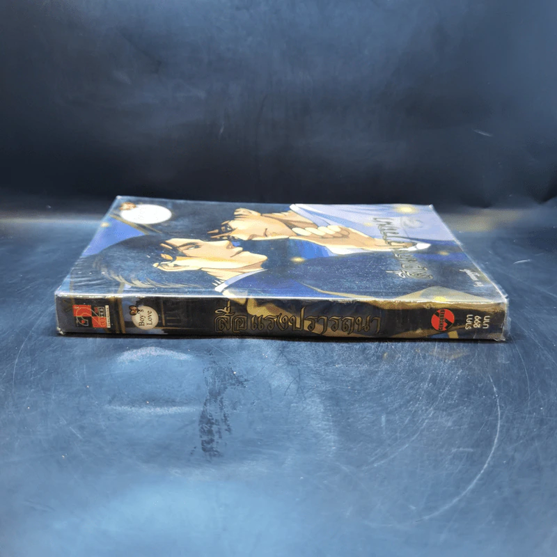นิยายวาย สื่อแรงปรารถนา - Muggle รูปที่ 3