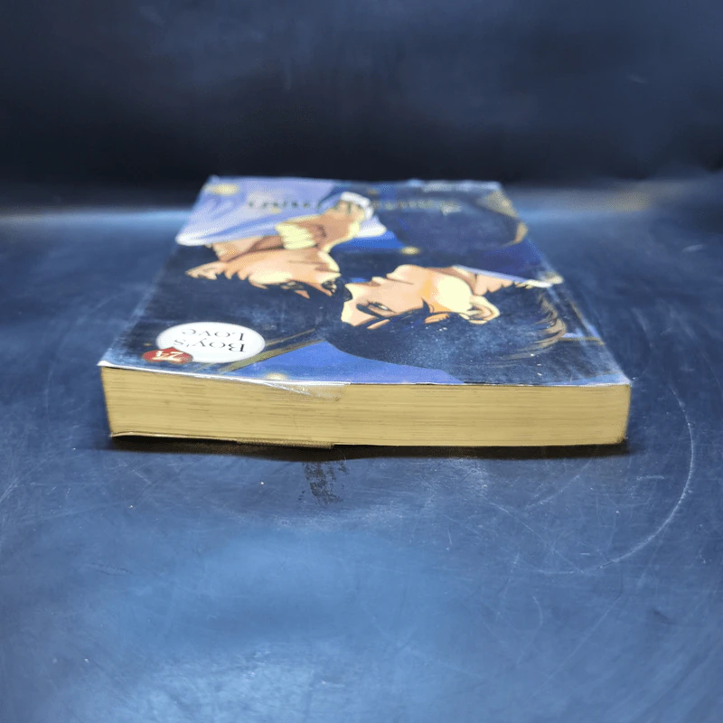 นิยายวาย สื่อแรงปรารถนา - Muggle รูปที่ 6