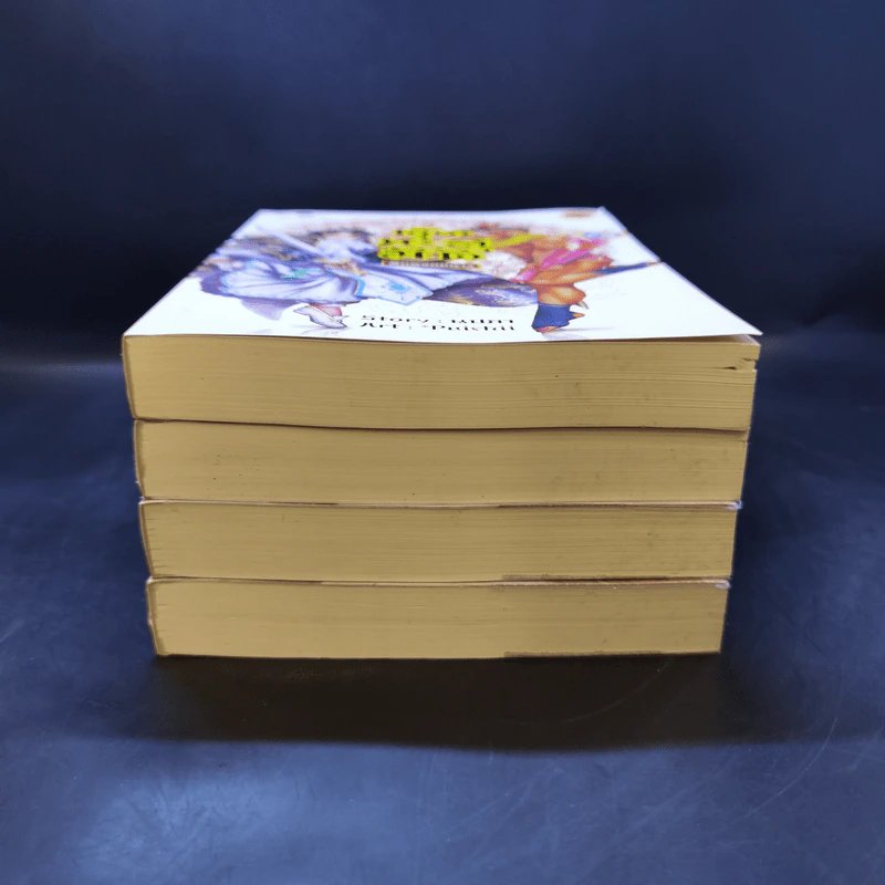 ตุ๊ดทะลุมิติ (พิภพจอมนาง) เล่ม 1-4 - นปภา รูปที่ 3